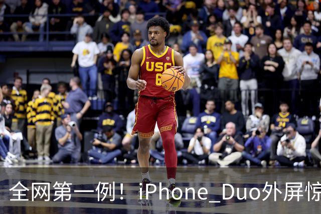 全网第一例！iPhone Duo外屏惊现绿线：没摔没磕碰