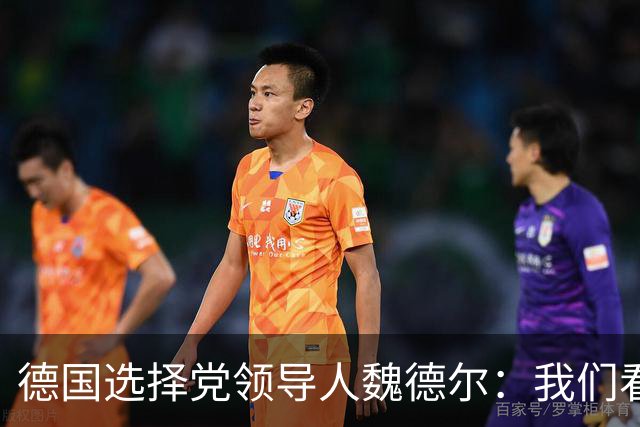 德国选择党领导人魏德尔：我们看到法国和德国的骚乱，应驱逐移民