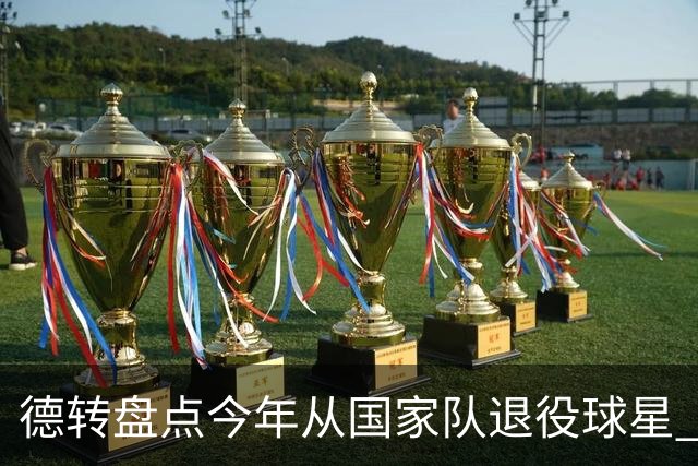 德转盘点今年从国家队退役球星 苏神穆勒锋线搭档