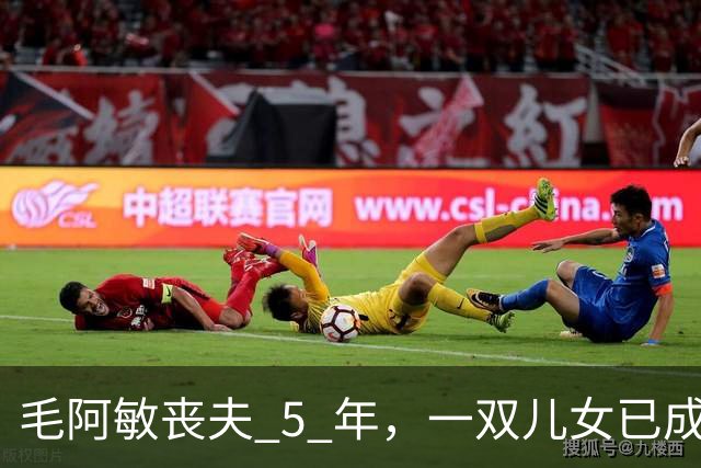 毛阿敏丧夫 5 年，一双儿女已成年，63 岁单身的她为何不愿再婚