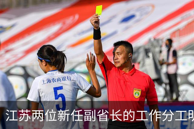 江苏两位新任副省长的工作分工明确了