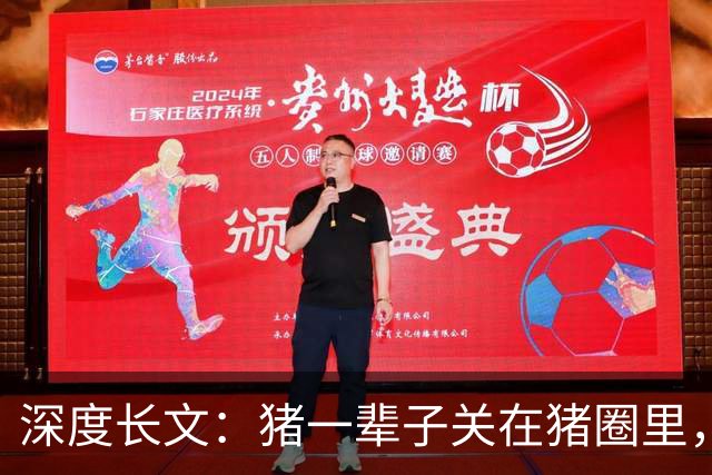 深度长文：猪一辈子关在猪圈里，为什么不会"憋疯"抑郁？其实它会