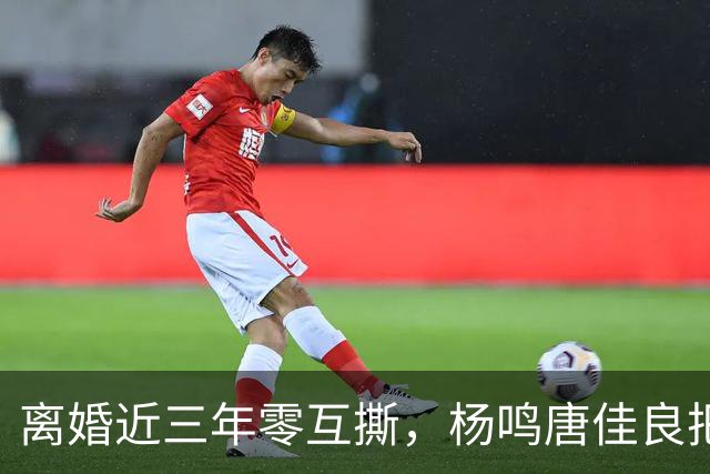 离婚近三年零互撕，杨鸣唐佳良把"不再回应"做成了防火墙