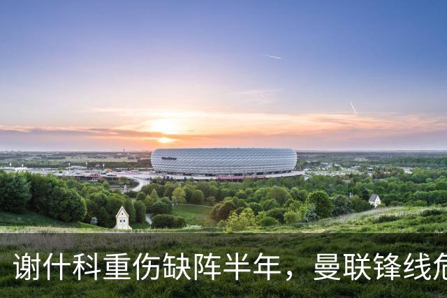 谢什科重伤缺阵半年，曼联锋线危机与转会失误