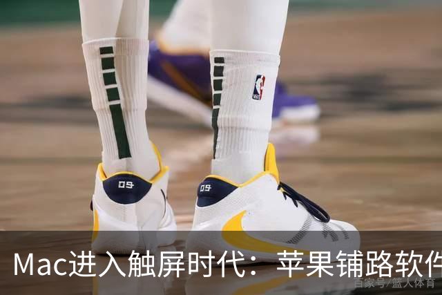 Mac进入触屏时代：苹果铺路软件生态，11月开启在线研讨